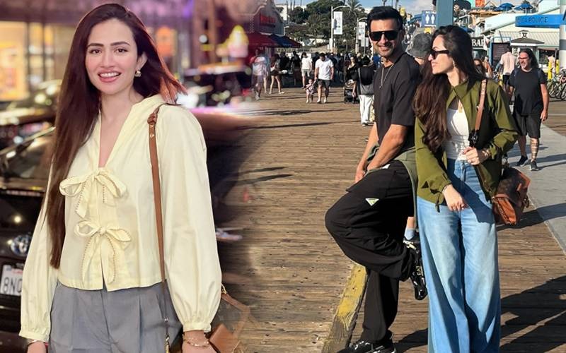 شعيب ملڪ کان رستا ڌار؟ ثنا جاويد جي انسٽا اسٽوري وائرل